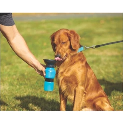 Top 10 🛒 AQUA 🐶 DOG AS SEEN ON TV ✔️