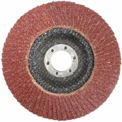 Buy ✨ 5IN. FLAP DISC 60G 🎁